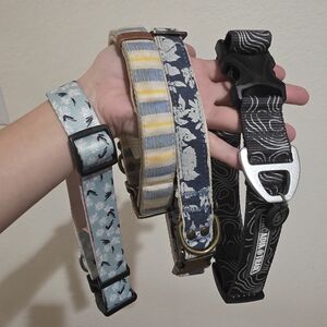 Patterned Dog Collar Set - Blue, Yellow, Black